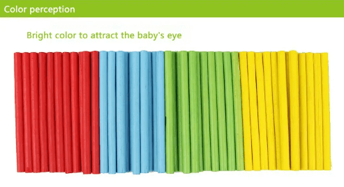 Mathematical (Numeracy) Intelligence Stick Educational Set