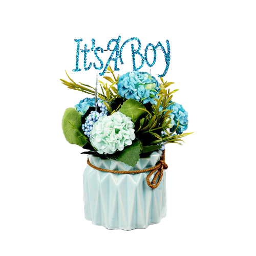 Acrylic Cake Topper, Baby Shower Gender Reveal Décor - it’s a Boy | Adorbs Online