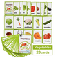 Colorful vegetable flashcards for kids! Fun, waterproof learning cards that help toddlers and preschoolers learn veggies easily. 20 cards per set. Ages 3+.